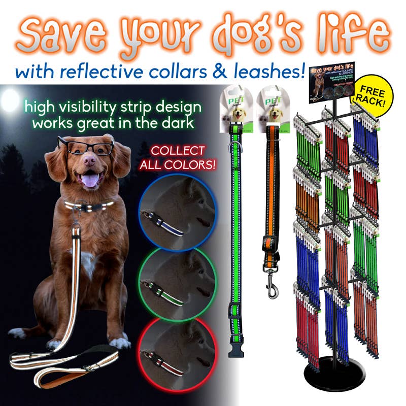 Deluxe Import Trading - Vente Collier – chien - Présentoir de 192 pièces de colliers et laisses réfléchissants pour chiens0