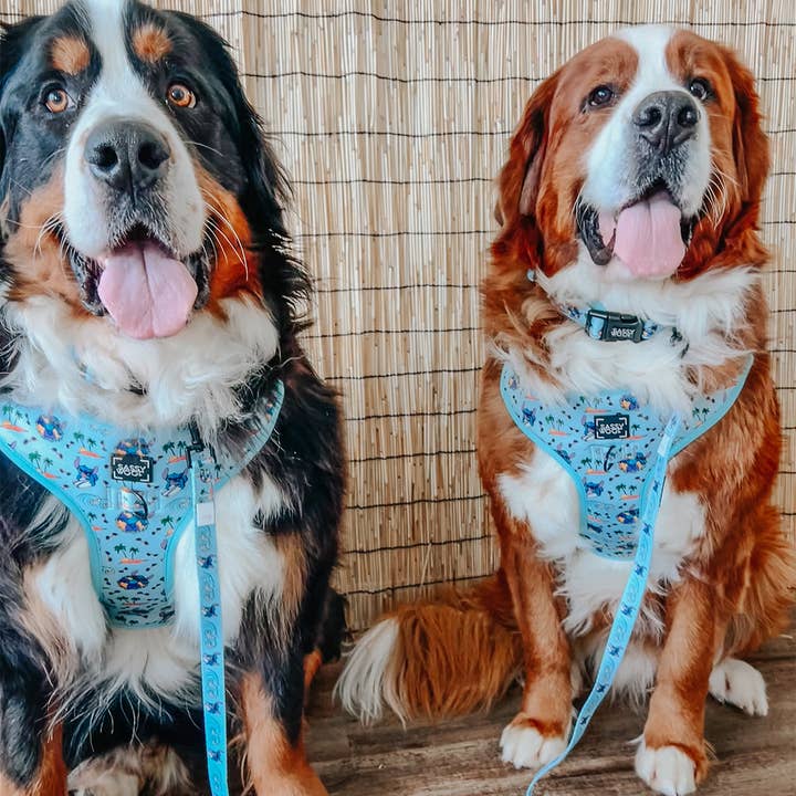 SASSY WOOF - Wholesale Pet Harness - Dog - Dog Adjustable Harness - Disney's Stitch12