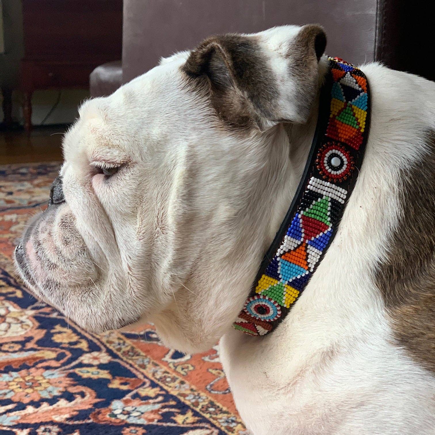 Her Best Foot Forward - Wholesale Pet Collar - Dog - Tapestry Beaded Dog Collar - Intricate Handmade Maasai Ethical Design from East Africa5