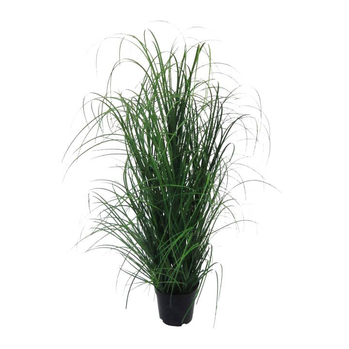 Grasstruik in pot, 120 cm voor wholesale door GASPER GmbH