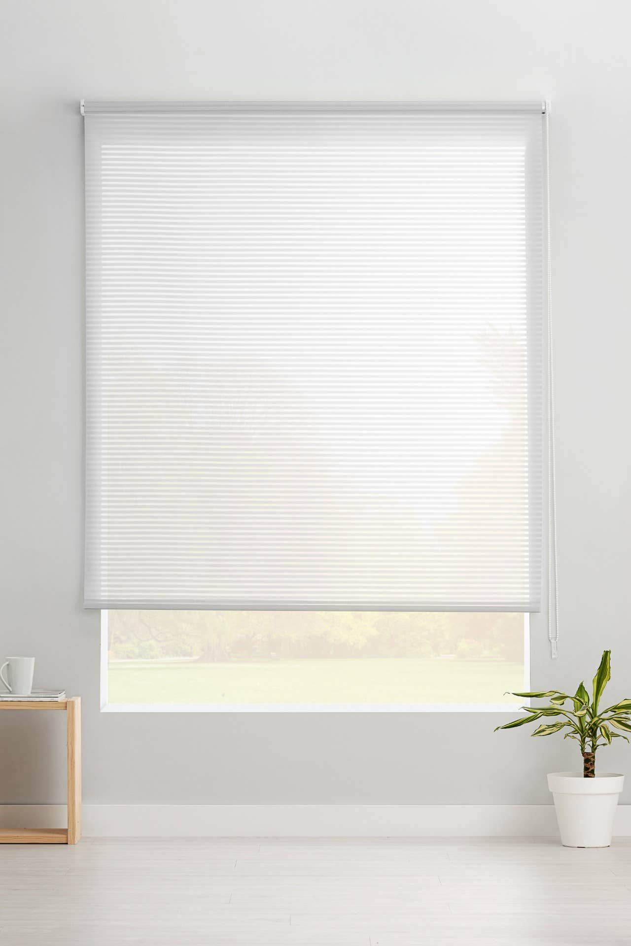 Blank Robert gennemsigtig rullegardin for engroshandel på Faire4