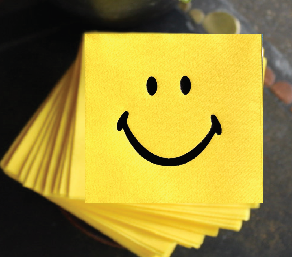 Lined Design – wholesale Disposable napkin – Cloth-Like Cocktail Napkins11