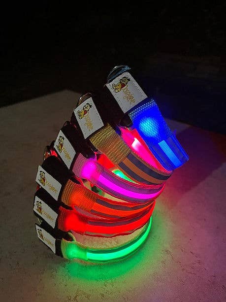 DoggyLove - Wholesale Pet Collar - Dog - DoggyLove USB Rechargeable LED Dog Collar for Night Walking2