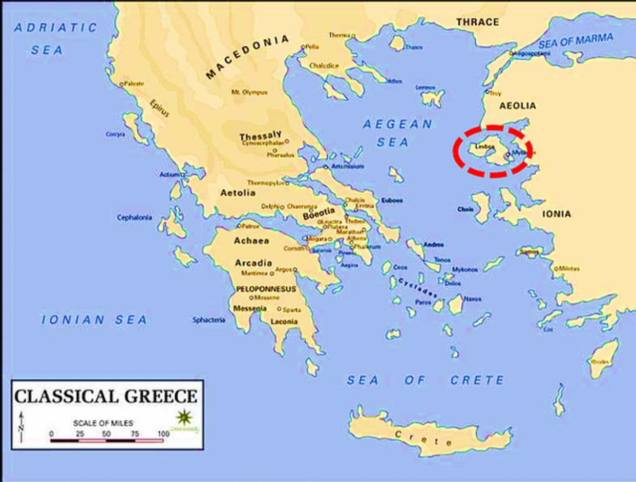 Olive Oil from the Sea - Wholesale Olive Oil - EOS Agoureleo Early Harvest 500ml1