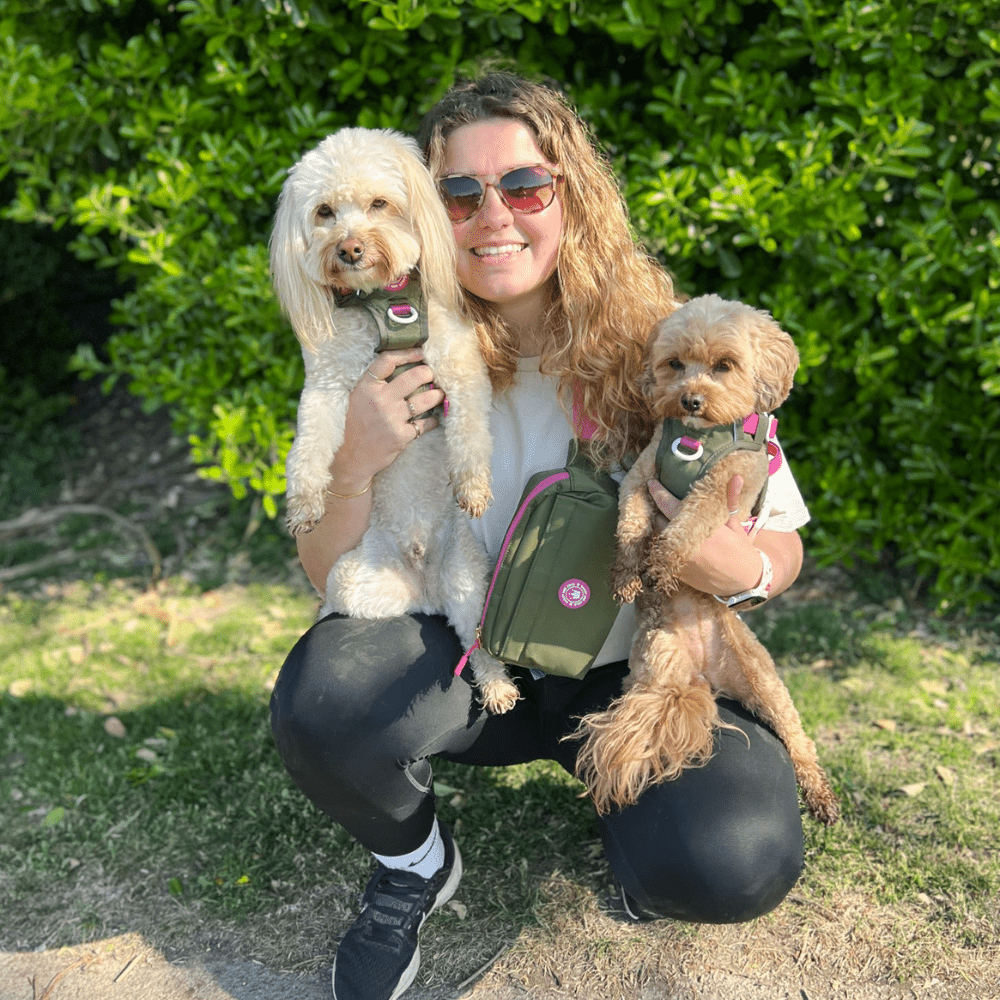 Bailey and Coco - Wholesale Belt Bag - Women's - Magnetic Snap Dog Walking Bum Bag - Olive it Hot16