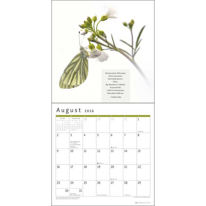 Simon & Schuster - Wholesale Calendar - Power of Now 2026 Wall Calendar by Eckhart Tolle2