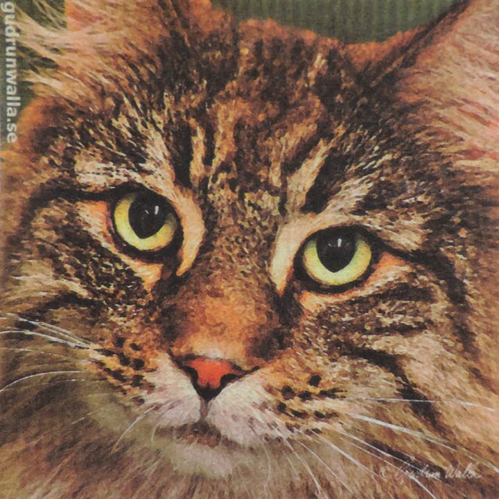 Swedish Dishcloth - Norwegian Forest Cat for wholesale by Scandinavian Specialties