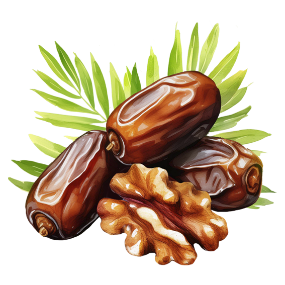 Lady Joseph – Großhandel Cracker – Dattel-Walnuss-Brot in Portionspackungen5