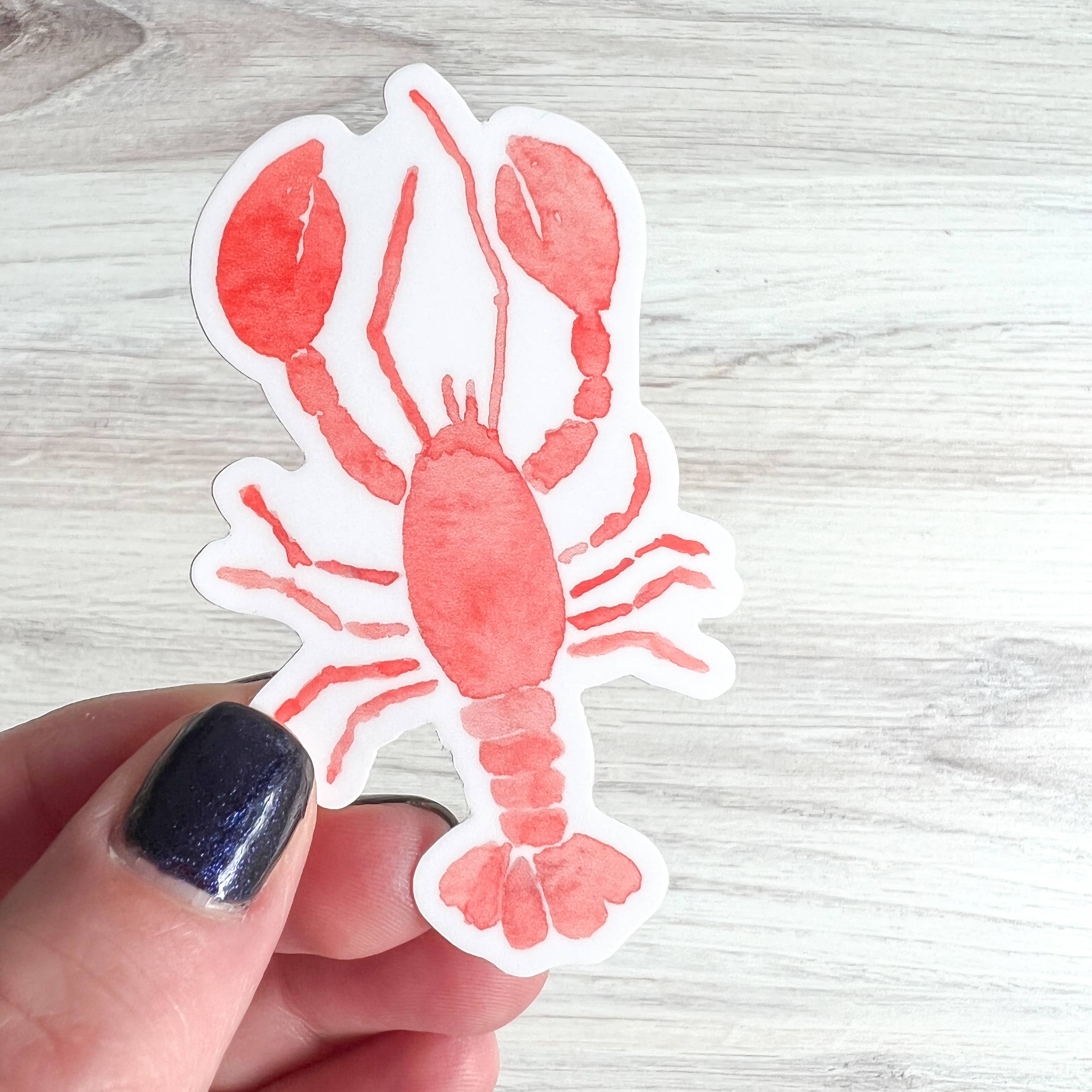 Gert & Co – wholesale Sticker – Watercolor Lobster Sticker | Red Lobster Sticker | 2" x 3"1
