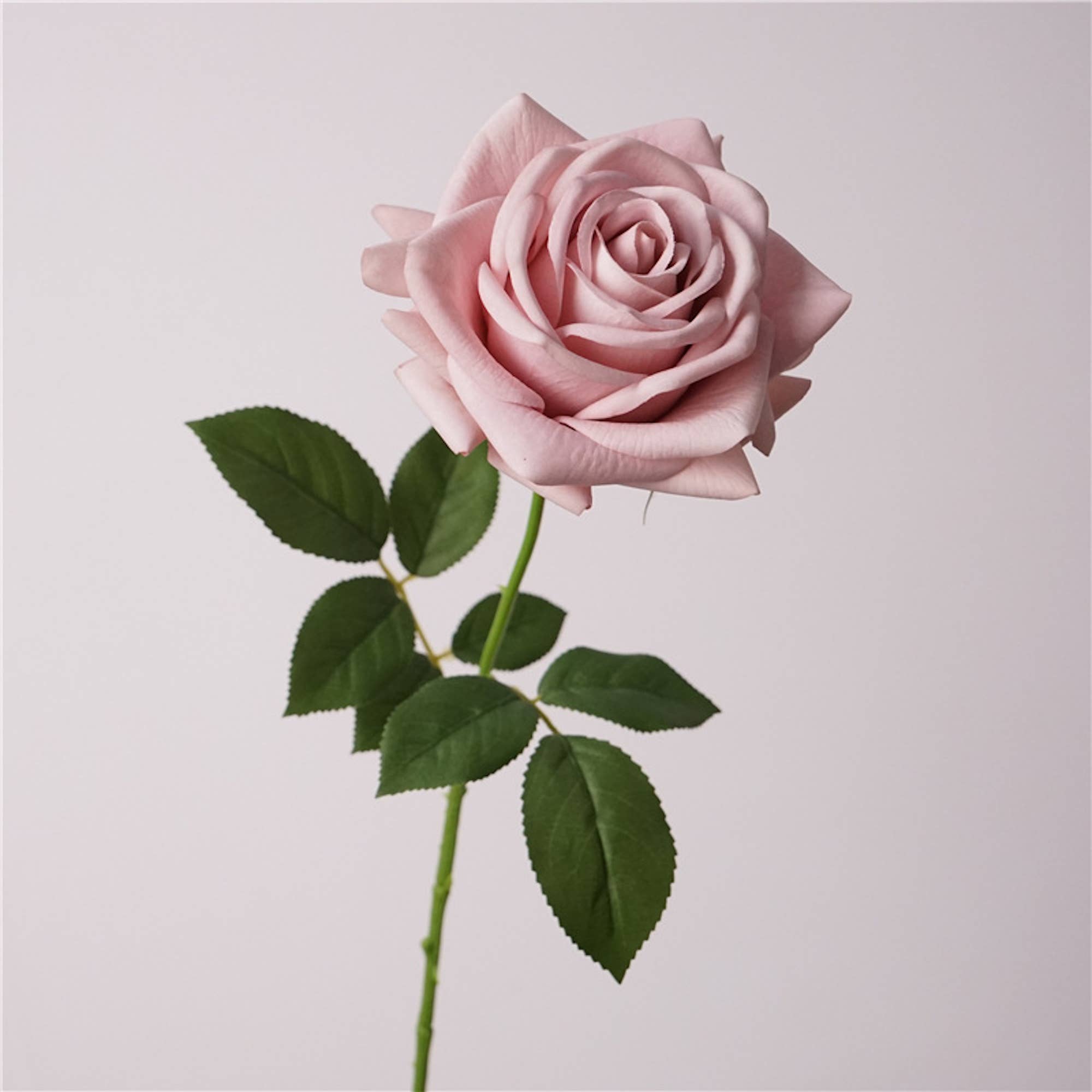 Angel Isabella - Wholesale Artificial Flowers - 26" Premium Real Touch Rose–Full & Elegant Bloom0