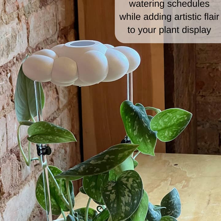 The Cloud Makers - Wholesale Watering Can - Original Dripping Rain Cloud