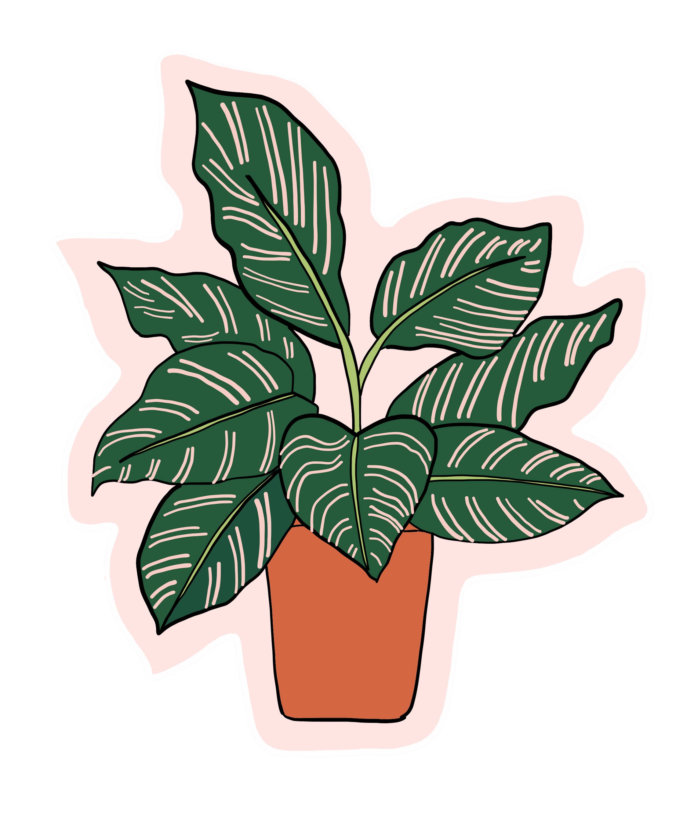 Made by Nilina - Vente Autocollant - Autocollant vinyle plante d'intérieur - Bégonia, plante de caoutchouc Ficus2