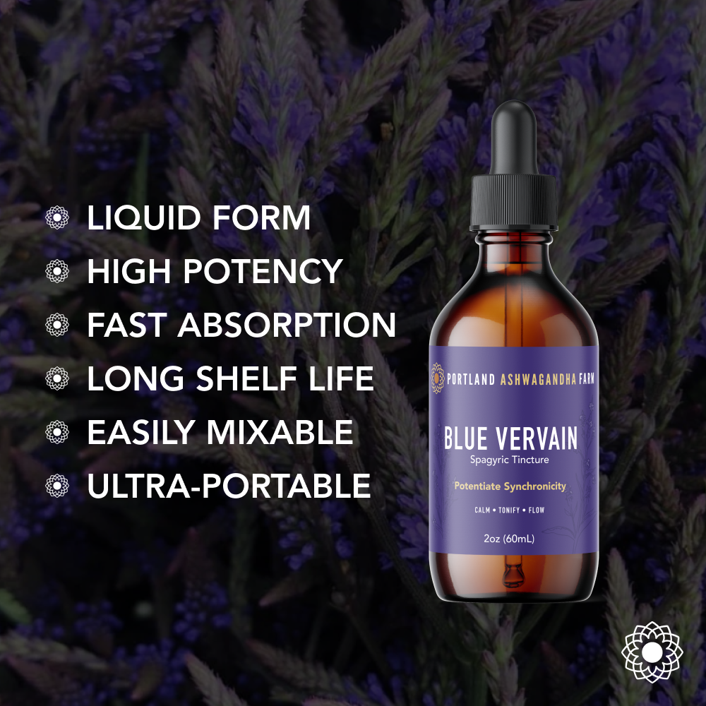 Portland Ashwagandha Farm - Vendita all'ingrosso Tinture - Blue Vervain - Tintura spagyrica fresca7