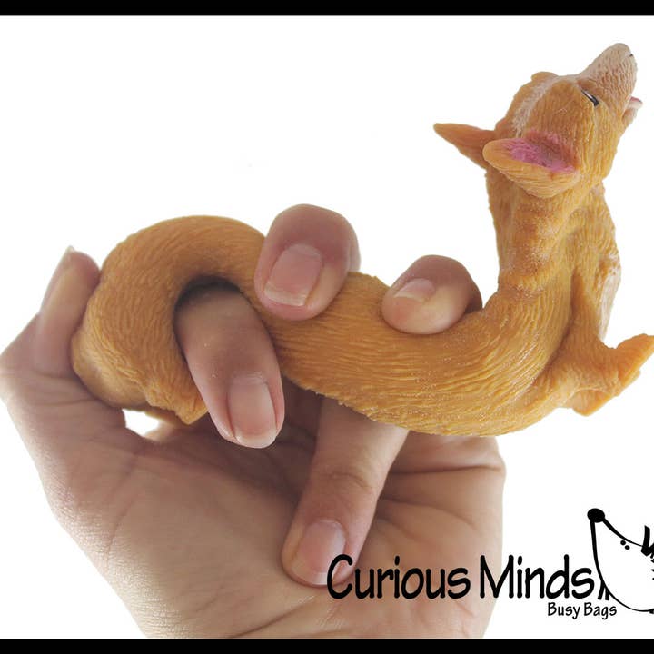 Curious Minds Toys - Wholesale Squishy Toy - Kids & Baby - 1 Stretchy Corgi Dog Crushed Bead Sand Filled - Doggy Lover