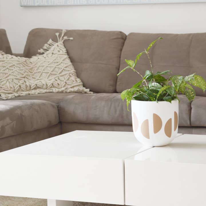 Common House Studio - Vente Pot - POT EN FORME DE CROISSANT | JARDINIÈRE4