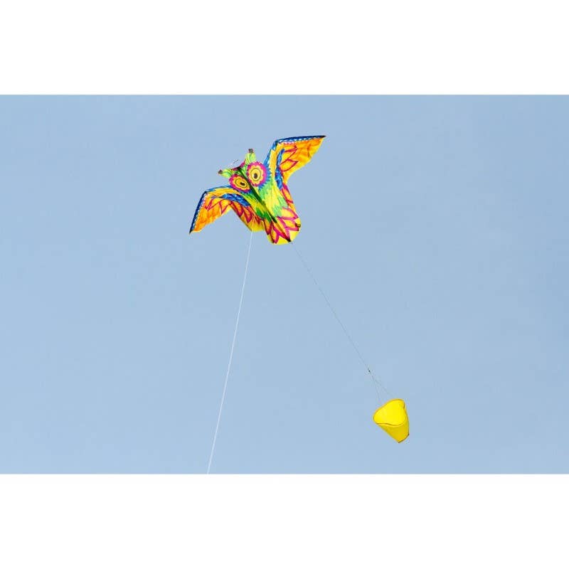HQ Kites & Designs - Wholesale Kite - Ecoline Flashy Owl Kite4