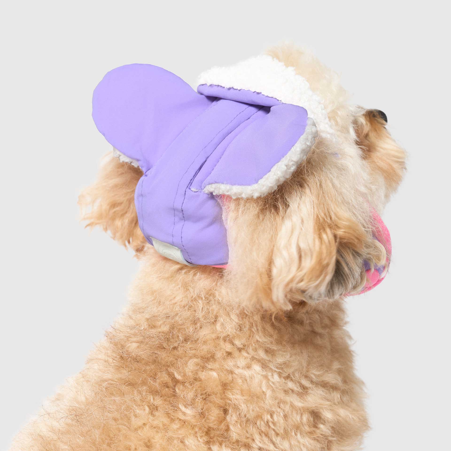 Canada Pooch - Wholesale Pet Hat - Dog - Cool Factor Aviator Hat 5