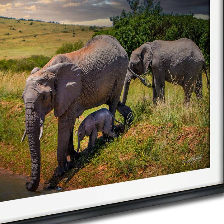 Art mural éléphant - Famille sauvage - Impression dorée pour la vente par Clifton Haley Photography