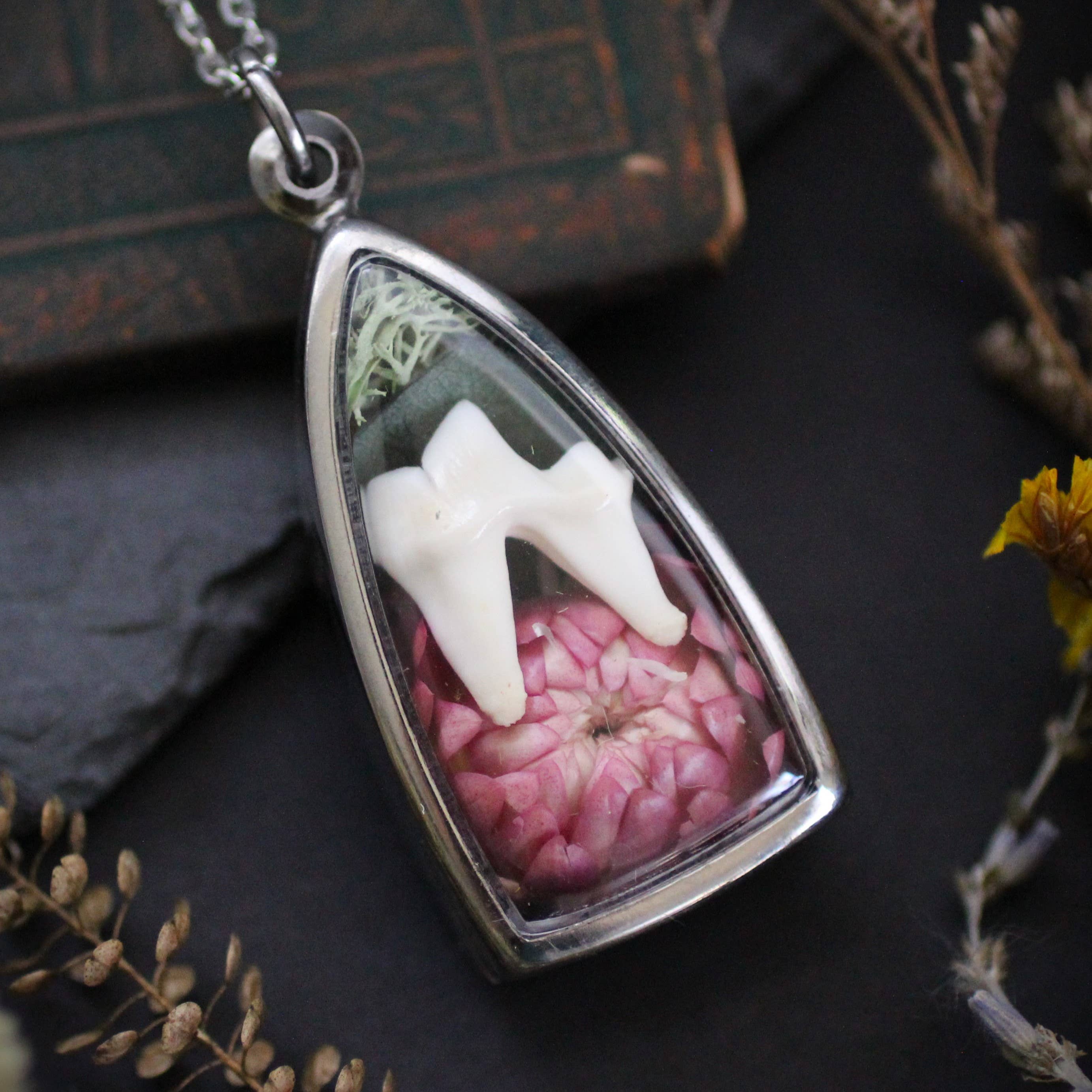 Kitty Bomb Curios - Wholesale Pendant/Charm Necklace - Bone Lockets oddity reliquary tooth window jewelry necklace8