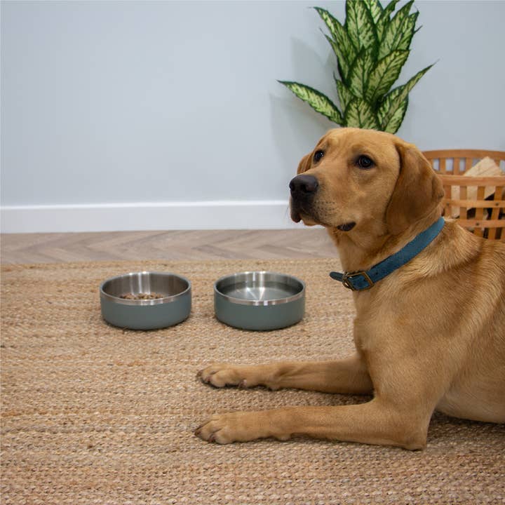 Ancol Pet Products Ltd - Wholesale Pet Bowl - Cat/Dog - Double Wall Stainless Steel Bowl Sage Green