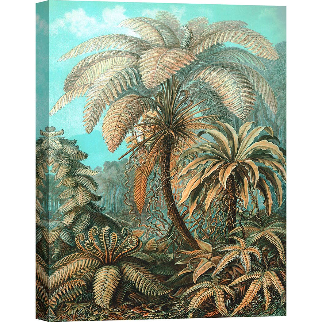 Selected Artworks Italia - Venta al por mayor Ilustración - Pintura botánica, impresión sobre lienzo: Ernst Haeckel, Filicinae0