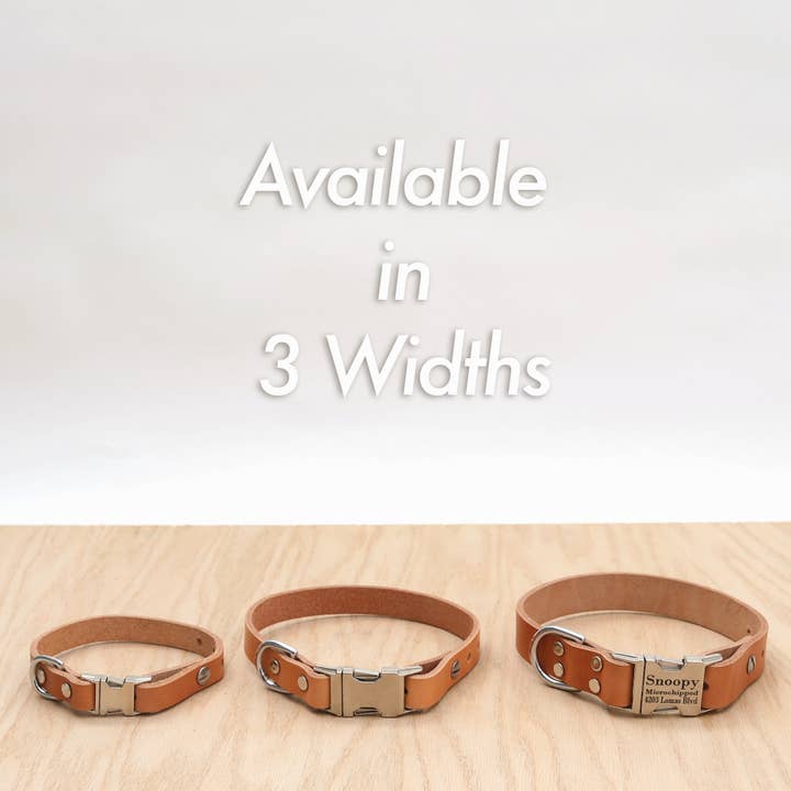 Mimi Green - Wholesale Pet Collar - Dog - Leather Dog Collar Side Release Buckle (3 colors)