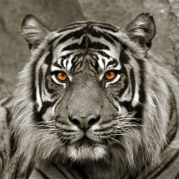 Keilrahmen für den Großhandel von Bönninghoff