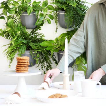 WallyGrow - Wholesale Hanging Planter - Loop Hanging Planter in Gravel