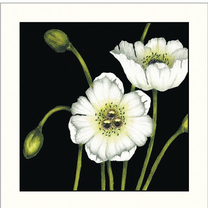 GGE004 Gift Enclosure for wholesale by s.e.hagarman