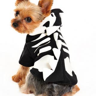 Dragon Skull Sweatshirt for wholesale by Dogo Pet
