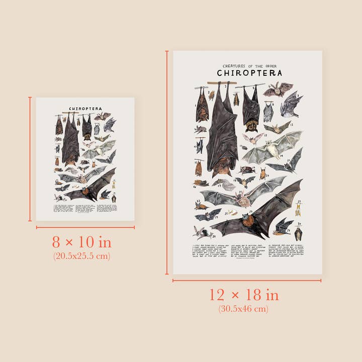 Kelzuki - Wholesale Art Print - Chiroptera: Bats2