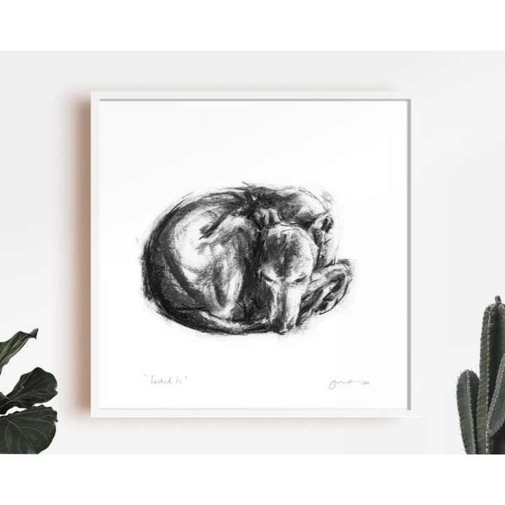 REMOVED BRAND - Wholesale Art Print - Dog Drawing Print, Whippet Curled Up - Fine Art Dog Print