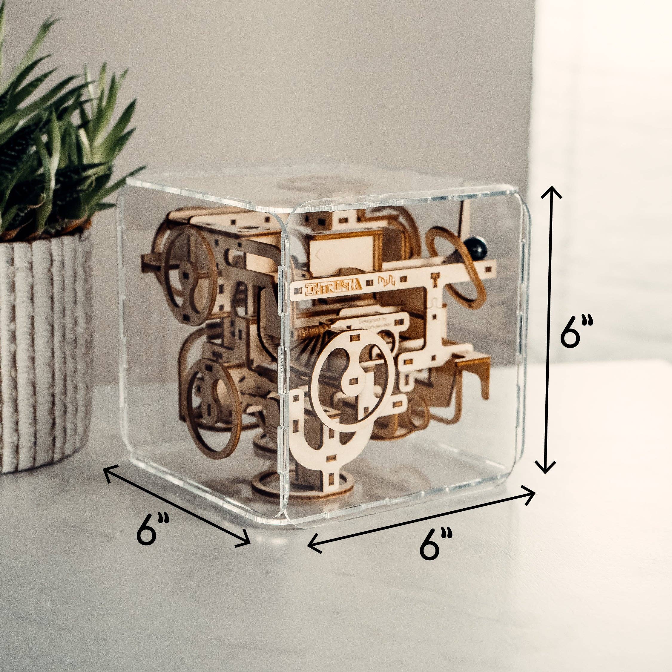 Intrism – Engroshandel Puslespil - Voksen – Intrism Mini - 3D Labyrint puslespil med kugle5