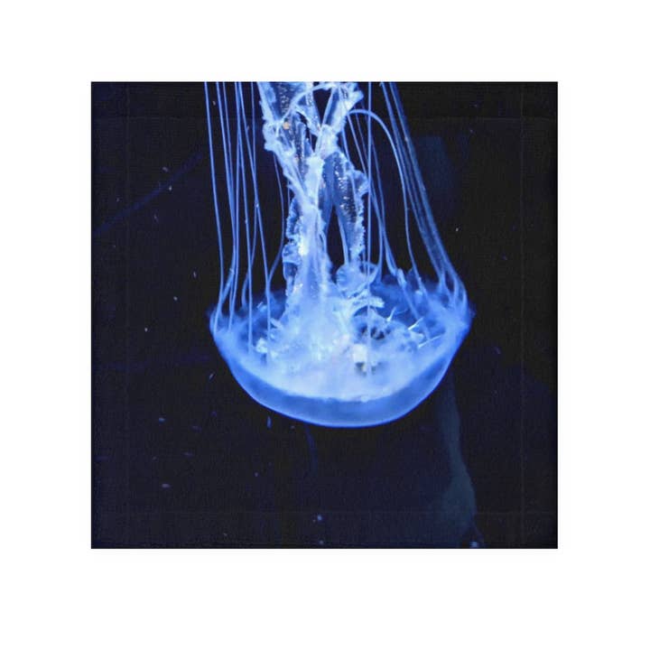 Asciugamano viso con meduse per la vendita all'ingrosso da parte di Marick Booster