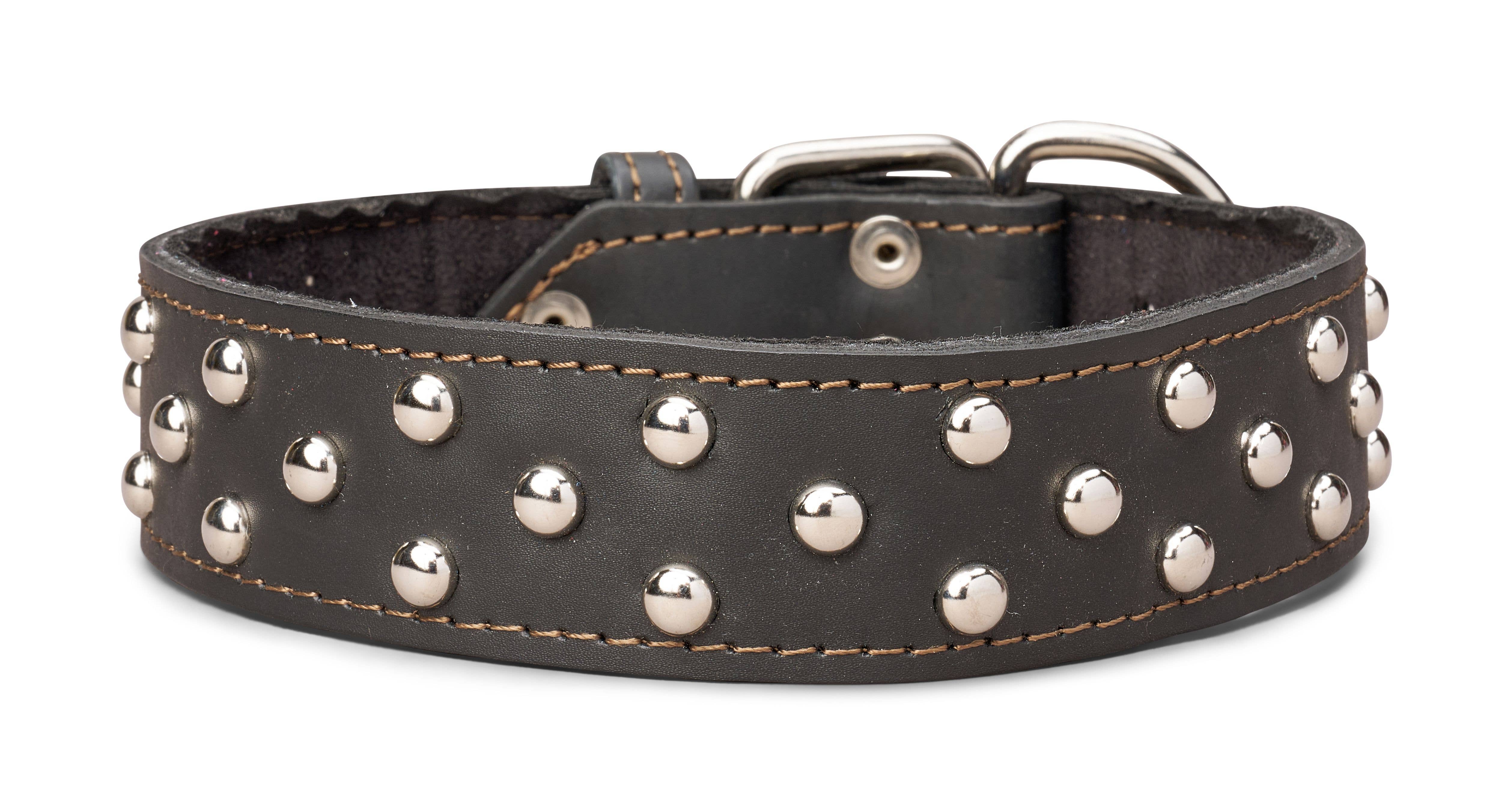 TOP DOG BRAND INC – Großhandel Haustierhalsband – Hund – 1 3/4 Zoll breite Lederhalsbänder mit Nieten10