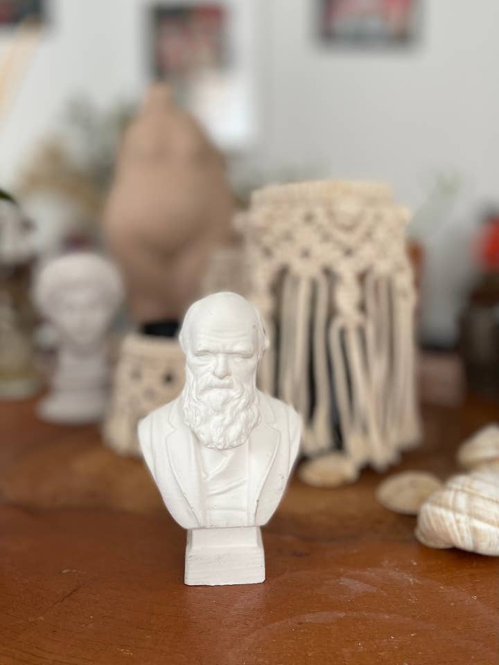 Statue de Charles Darwin en pierre 11 cm - 4,33 pouces pour la vente par RomaArtSculptures