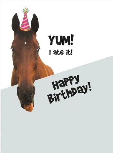 Horse Hollow Press - Wholesale Birthday Card - Horse Greeting Birthday Card / Where’s the Cake? / Funny 1