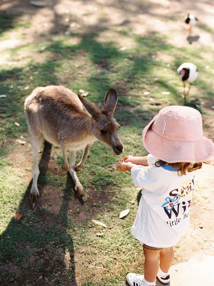 WILDFLOWER TEE for wholesale by Toast & Jam