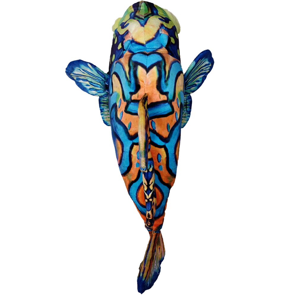Texas Toy Distribution - Wholesale Stuffed/Plush Toy - Kids & Baby - Mandarinfish 17" Colorful Aquatic Plush Stuffed Animal1