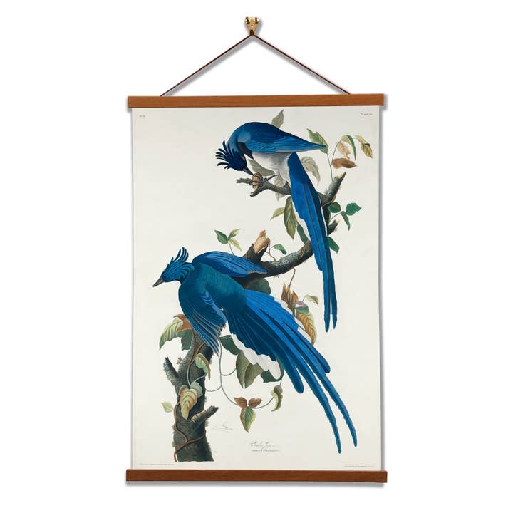 Columbia Jay de John James Audubon para venta al por mayor de Vintage Banners