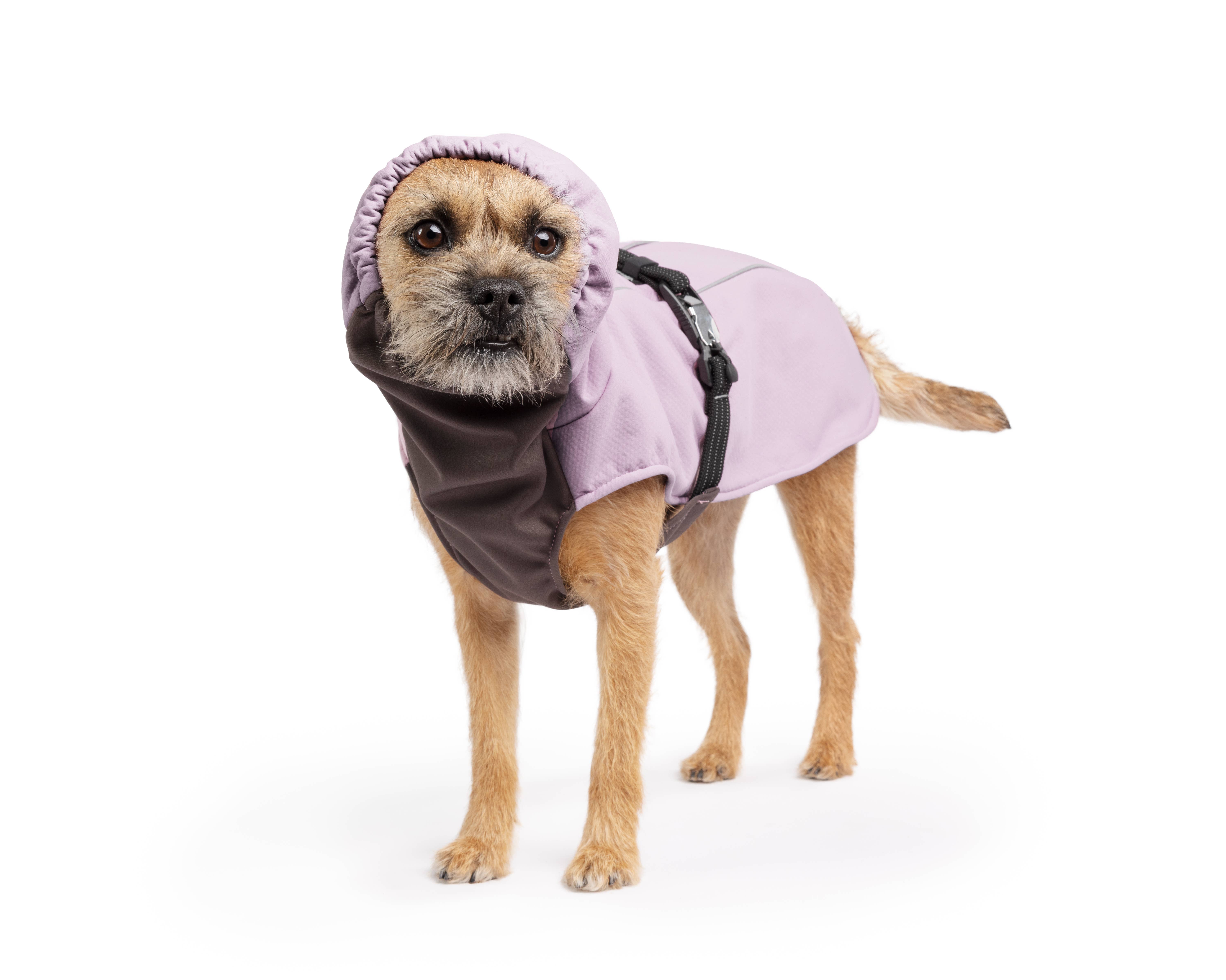 Gold Paw Series – wholesale Ytterkläder - Hund – WinterPaw5