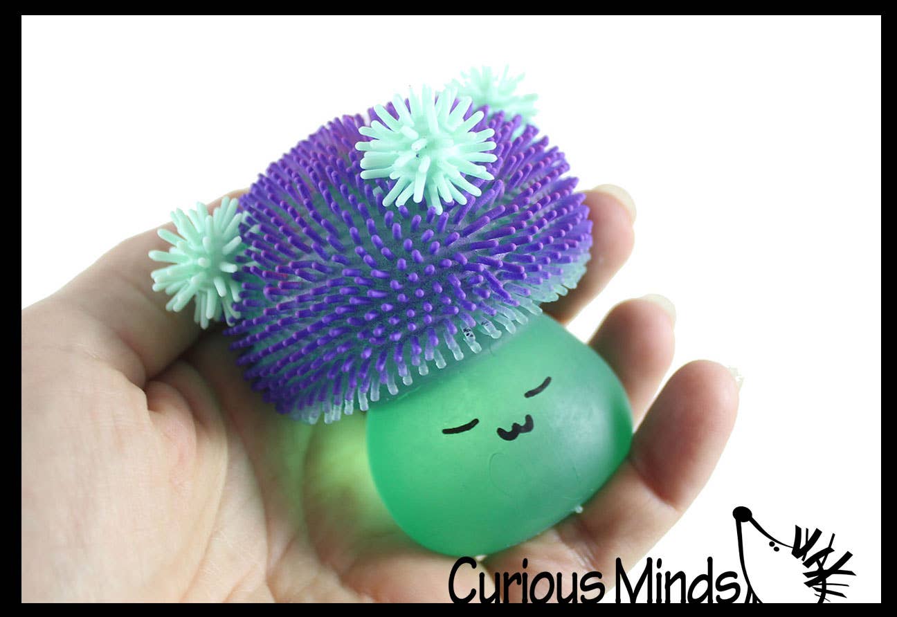 Curious Minds Toys - Wholesale Fidget Toy - Kids - 1 Mushroom Sugar Puffer Ball - Thick Glue/Gel Syrup Molasses5