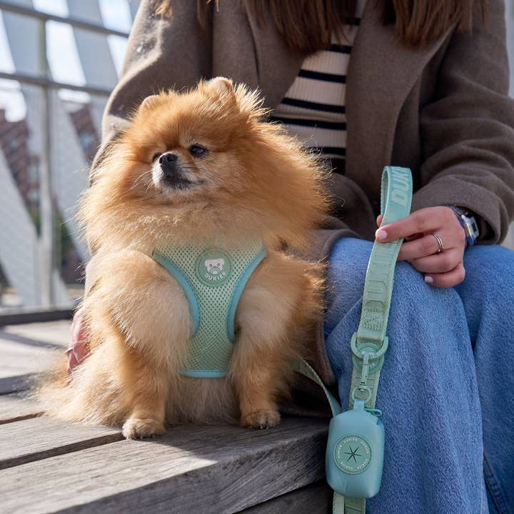 Dukier - Wholesale Pet Harness - Dog - SOFT GREEN DOG BODY HARNESS