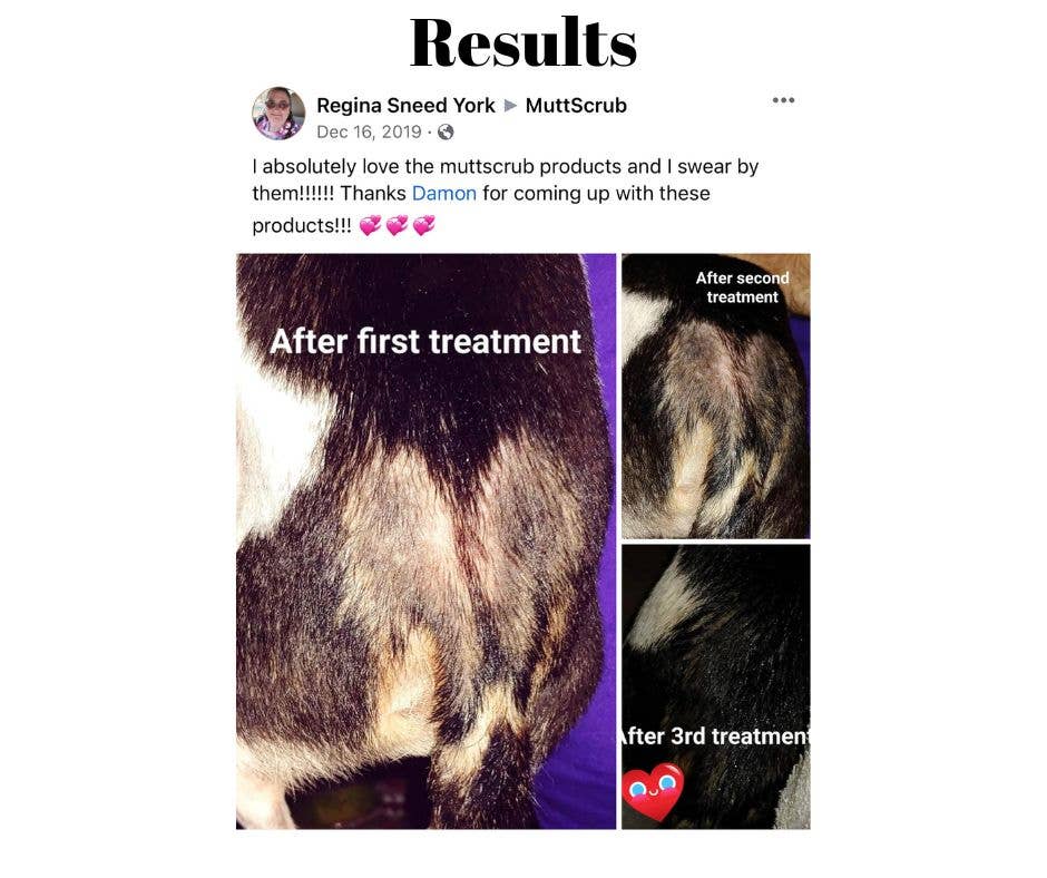 DecoExchange - Vente Shampoing – chien - Shampooing pour chien, shampooing entièrement naturel pour les peaux sensibles7