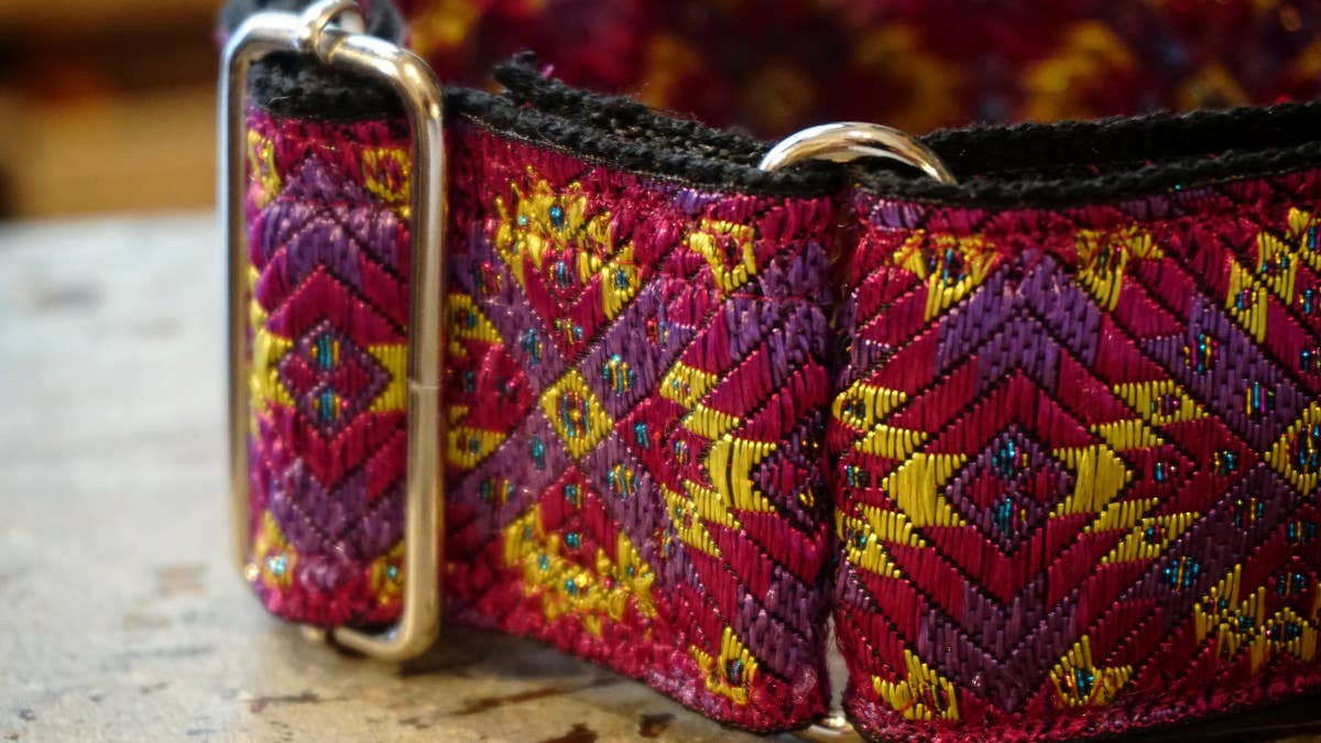 hundsfutter - Wholesale Pet Collar - Dog - Extra strong Martingale collar for dogs6