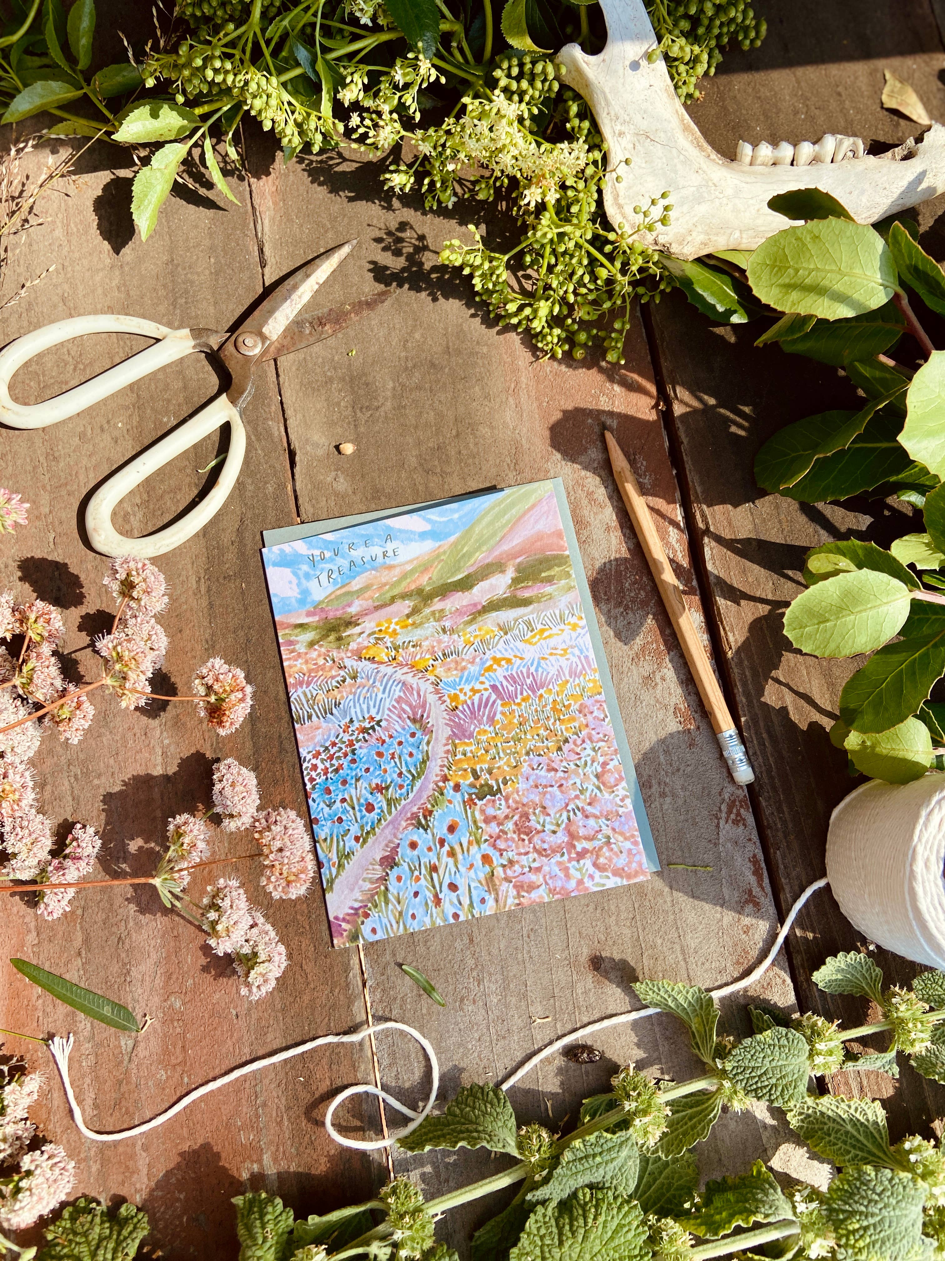 Little Salt Wagon - Wholesale Everyday Greeting Card - You're A Treasure Wildflower Colorful Coast Greeting Card3