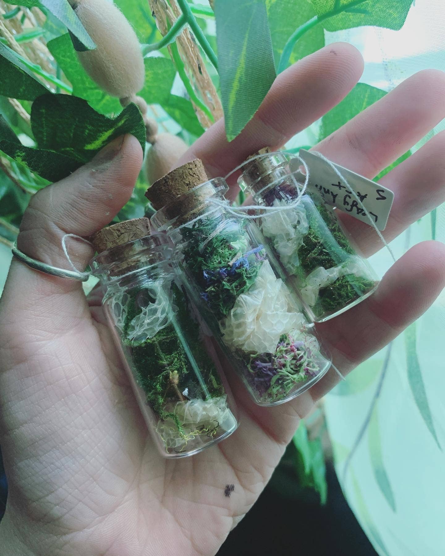 Leafy Ann Art – Engroshandel Apotekerkrukke – Håndlavet apotekerkrukke med slangeskind og mos9