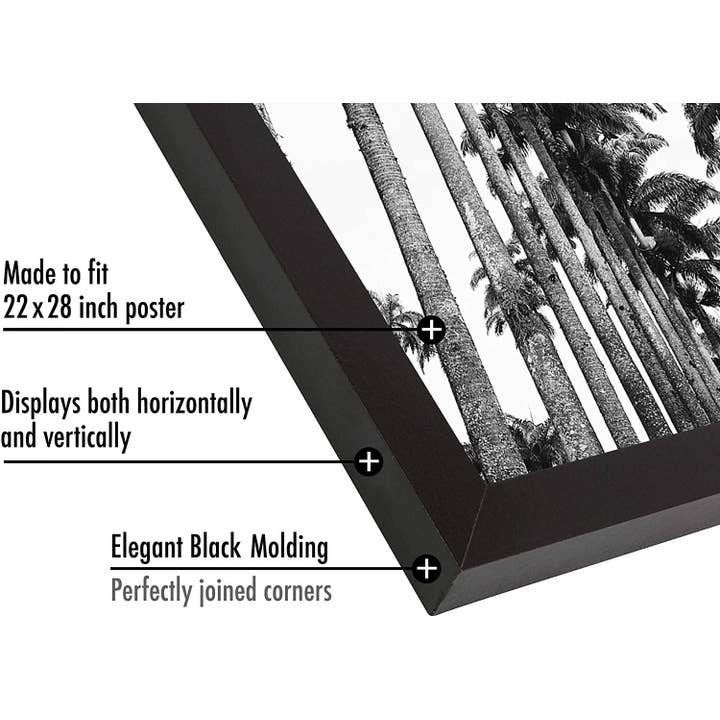 Americanflat - Wholesale Picture Frame - Americanflat Poster Frame with Wide Molding289