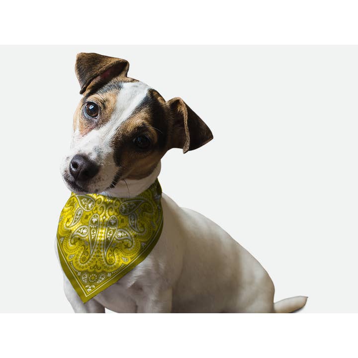 Bandoggies Breeze Pet Bandana - Large Yellow Paisley for wholesale by Bandoggies