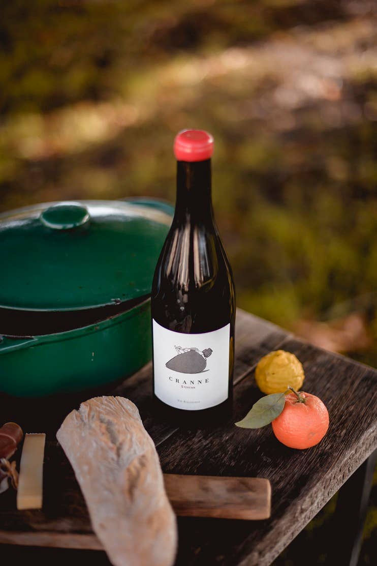 Château de Cranne – Großhandel Rotwein – Grand Organic Rotwein Amphore 2022 „CRANNE Sterenn“4